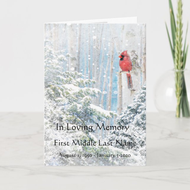 Beerdigung Kardinal Rote Vögel Winterschnee Programm (Vorderseite)