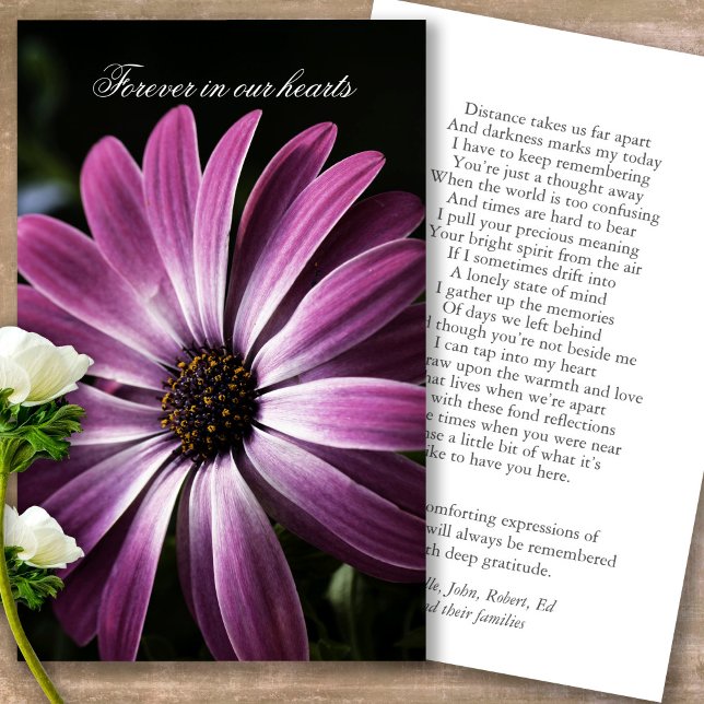 Beerdigung Loss Lila Daisy Gebet Sympathiekarten (Forever in our hearts, celebration of life, in loving memory of, prayer cards for bereavement)