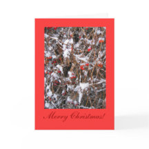 Beeren-frohe Weihnachten