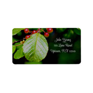 Beeren und Blätter Adressetiketten