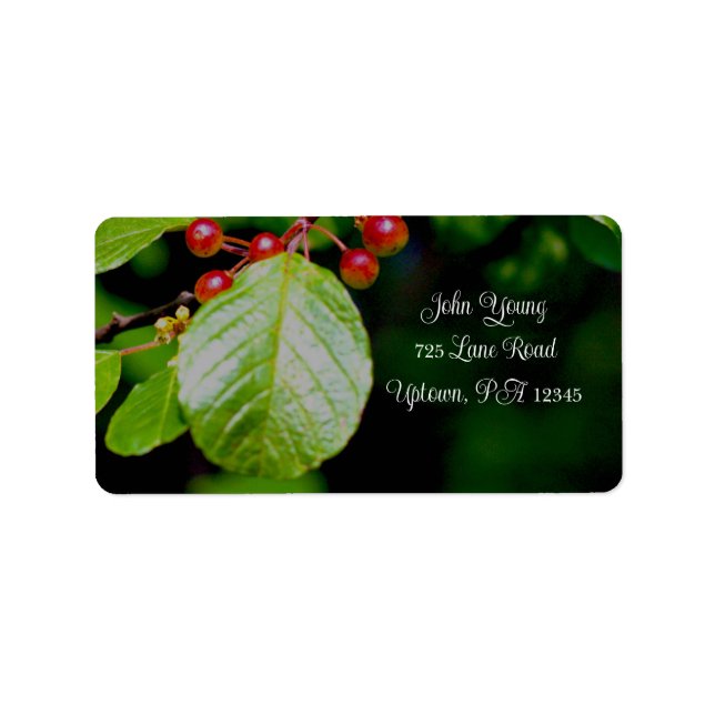 Beeren und Blätter Adressetiketten (Vorne)