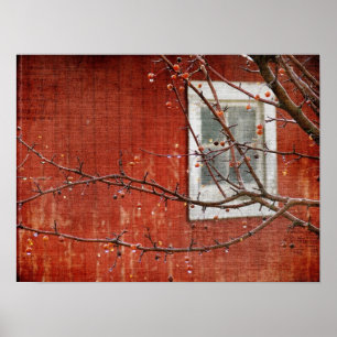 Beeren und Scheune Poster