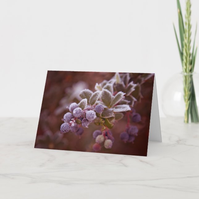 Beeren-Weihnachten Feiertagskarte (Vorderseite)