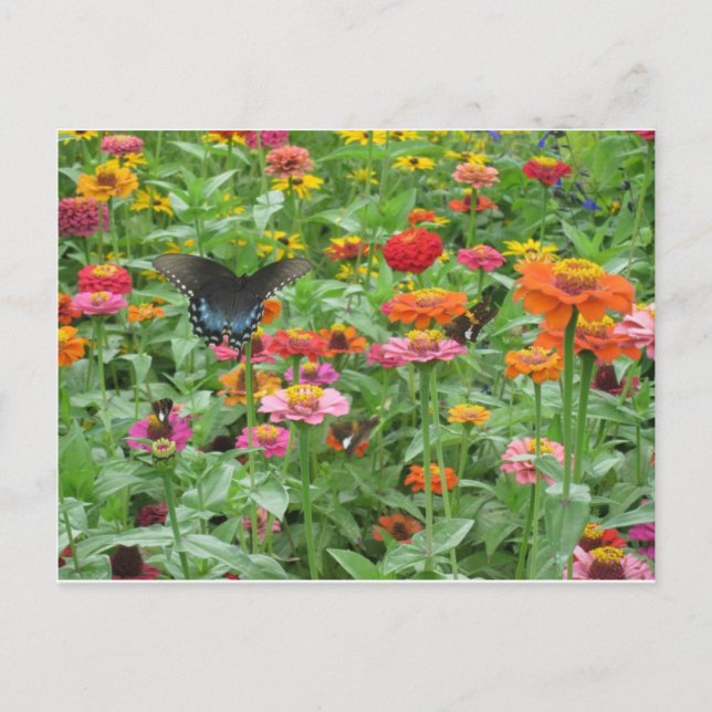 Beersheba Springs Postcard Postkarte (Vorderseite)