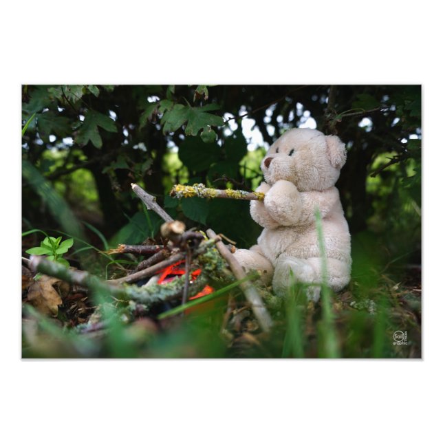 Beertje dat bij kampvuur zit. fotodruck (Vorne)