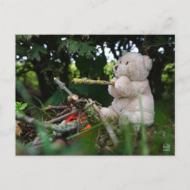 Beertje dat bij kampvuur zit. postkarte
