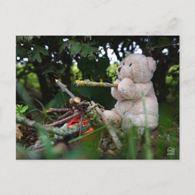 Beertje dat bij kampvuur zit. postkarte (Vorderseite)