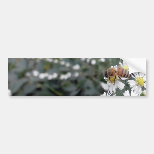 Bees Honey Bee Wildflowers Flowers Daisies Photo Autoaufkleber (Vorne)
