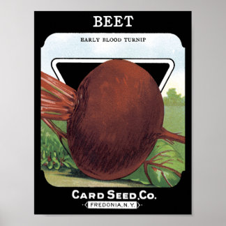 Beet Card Seed Co.-Päckchen Vintage Fredonia, NY Poster