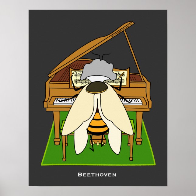 Beethoven - 16 x 20 Poster (Vorne)