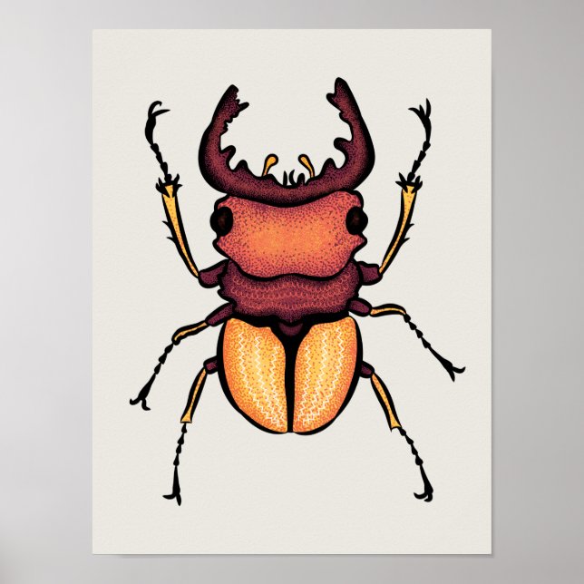 Beetle Art Entomology Insekt Poster (Vorne)
