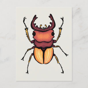 Beetle Art Entomology Insekt Postkarte