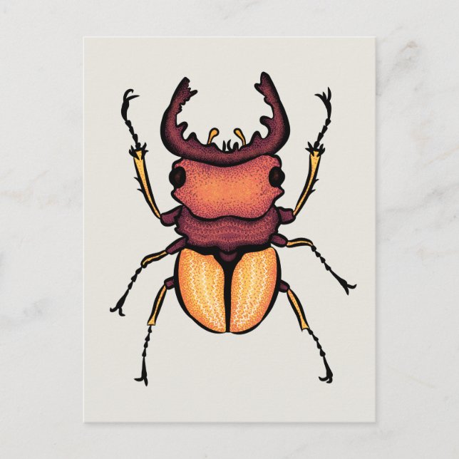 Beetle Art Entomology Insekt Postkarte (Vorderseite)