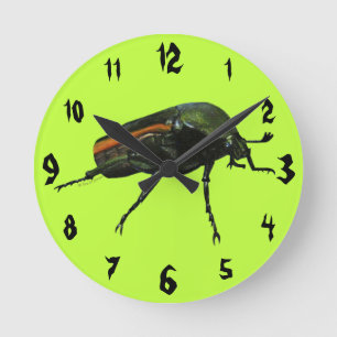 Beetle Bug Acrylic Wall Clock Runde Wanduhr
