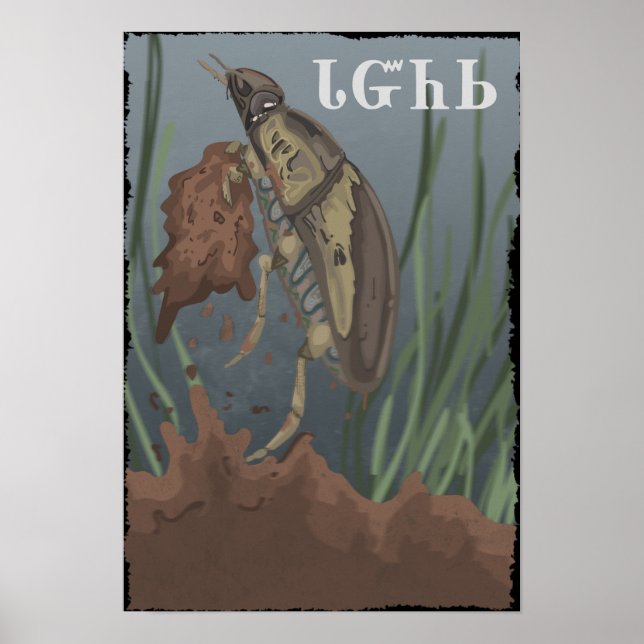 Beetle Finds Mud Poster (Vorne)