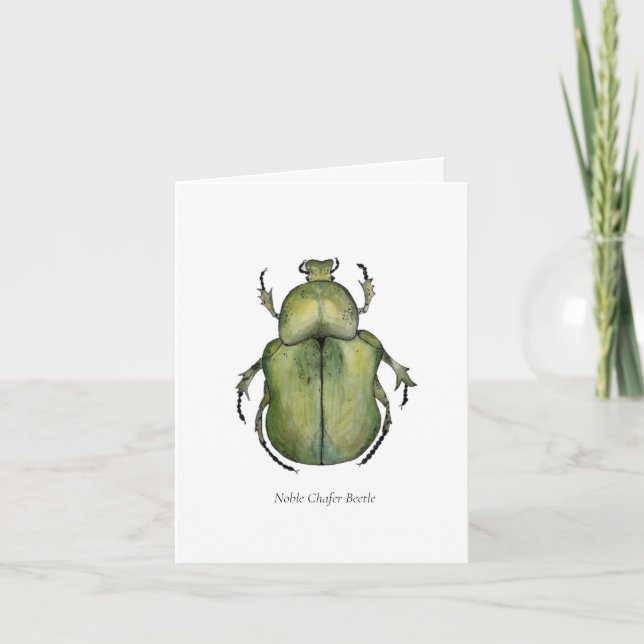 Beetle Note Cards (Vorderseite)