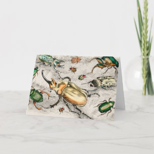 Beetles Insects Bugs Karte