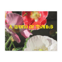 Befinden Sie sich auf der Post Card