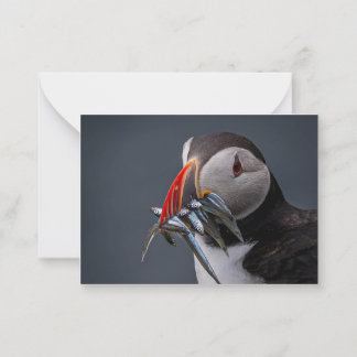 Befischung Mitteilungskarte