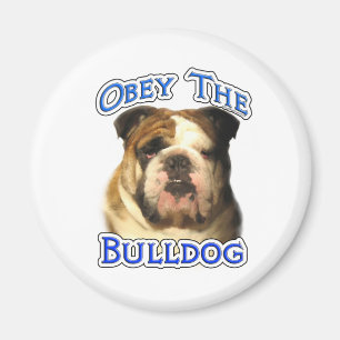 Befolgen Sie den Bulldog - Magnet