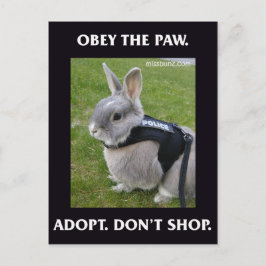 Befolgen Sie die Paw Postkarte