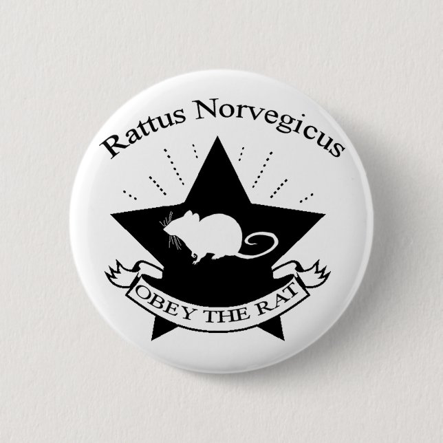 Befolgen Sie Knopf Button (Vorderseite)