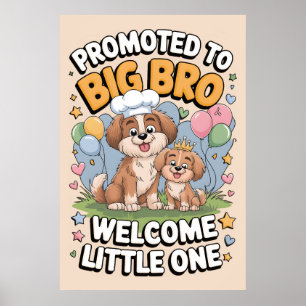 Befördert zu Big Bro, Big Brother Poster