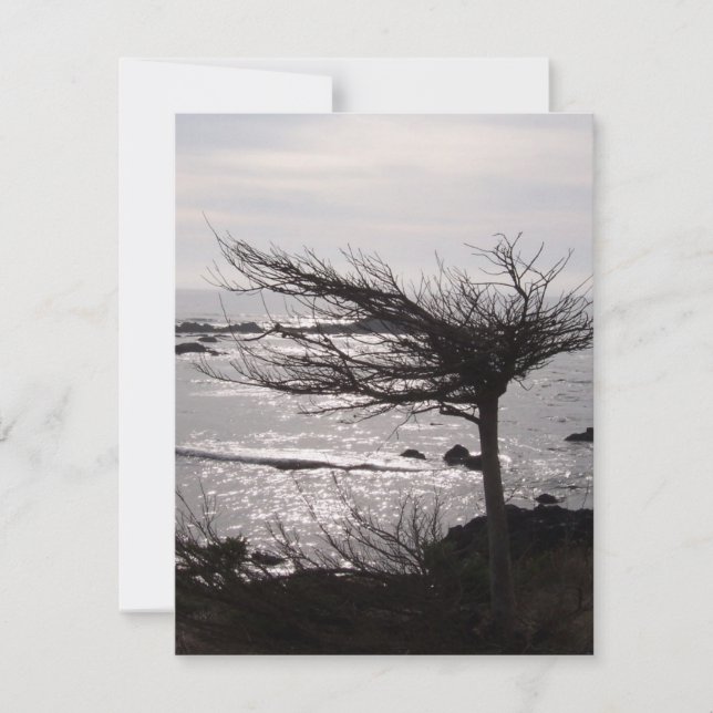 Befruchtungskarte für den Ozeanbaum Karte (Vorderseite)