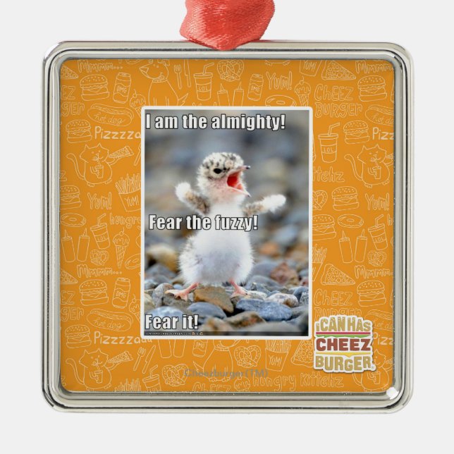 Befürchten Sie das flockige! Silbernes Ornament (Vorne)
