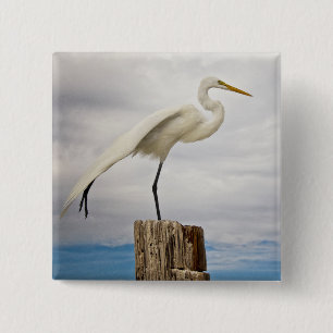 Begabter Strand des Reiher- Fort Myers, Florida Button