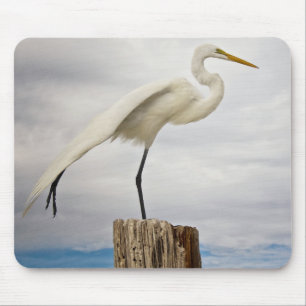 Begabter Strand des Reiher- Fort Myers, Florida Mousepad