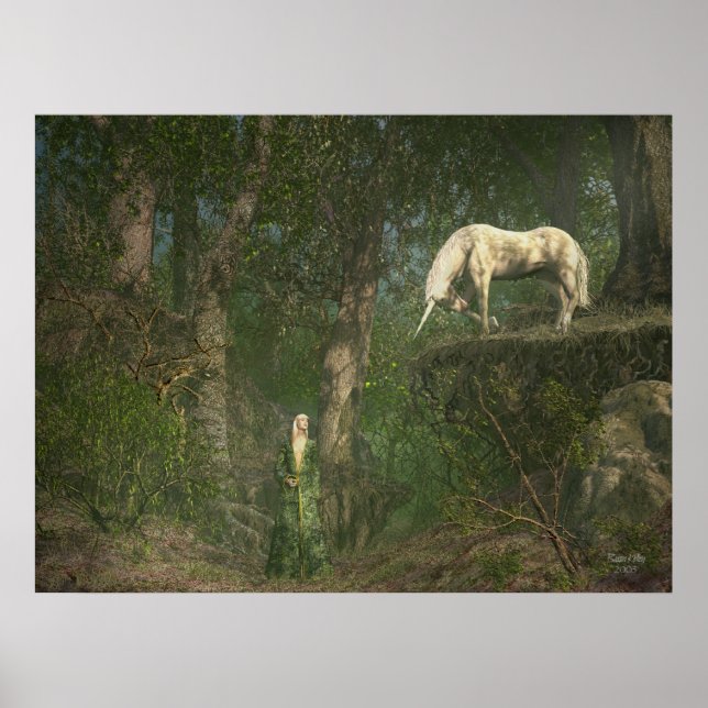 Begegnung mit Wäldern Poster (Vorne)