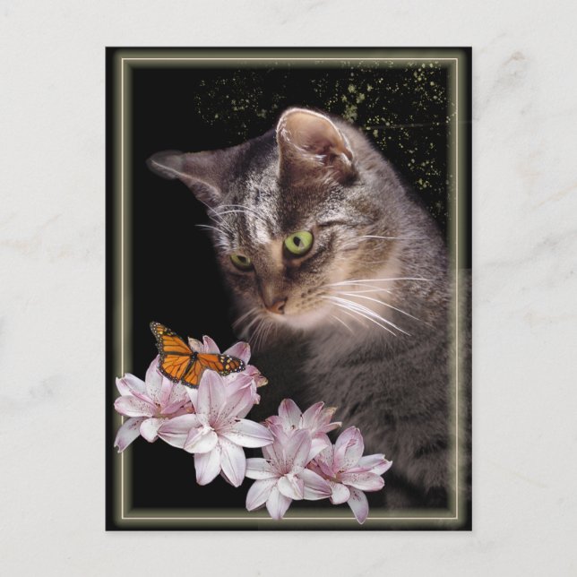 Begegnung Postkarte (Vorderseite)