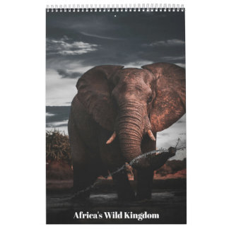 Begegnungen in Afrikas Wildem Königreich, Kalender
