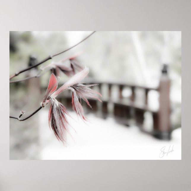 Beginn Poster (Vorne)