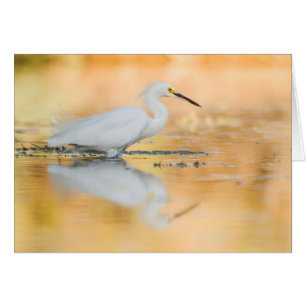 Beginnen Sie, wenn die Sonne untergeht