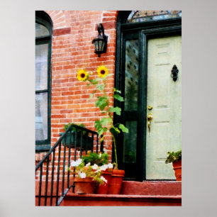 BEGINNEN UNTER $20 - Sonnenblumen auf Stoop Poster