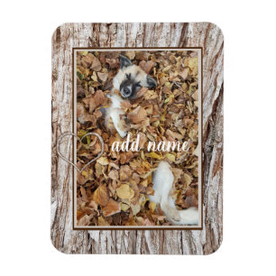 Begleiter des modernen Fotos Magnet