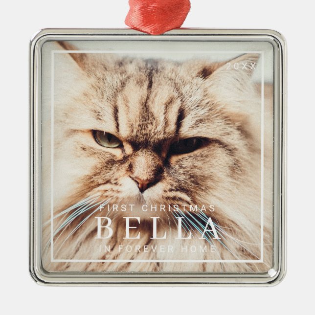 Begleiter Erste Weihnachten in Forever Zuhause Fot Ornament Aus Metall (Vorne)