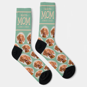 Begleiter Mama Geschenk Hund Katze Foto Muster Grü Socken