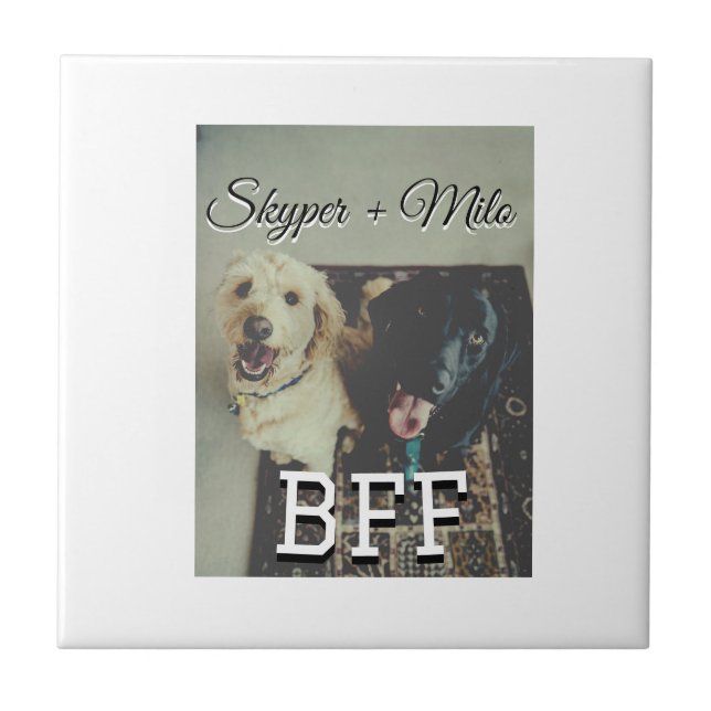 Begleithelfer tragen den Namen Foto Tier Liebe hin Fliese (Vorderseite)