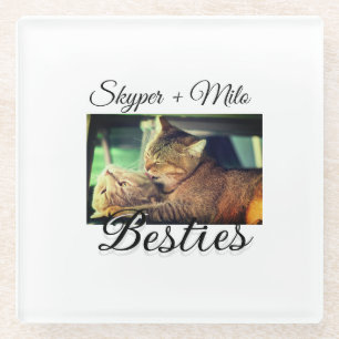 Begleithelfer tragen den Namen Foto Tier Liebe hin Glasuntersetzer