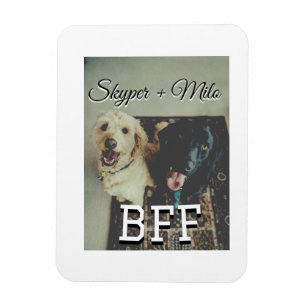 Begleithelfer tragen den Namen Foto Tier Liebe hin Magnet