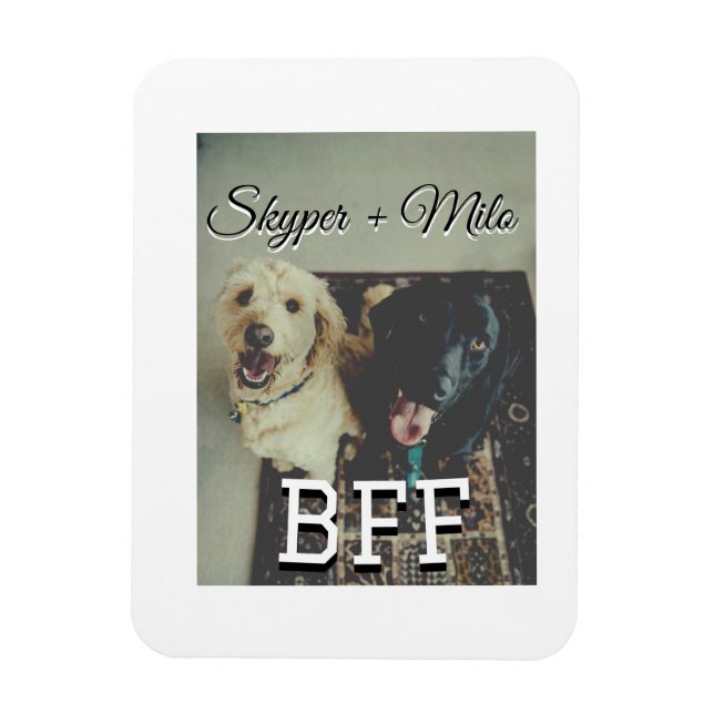 Begleithelfer tragen den Namen Foto Tier Liebe hin Magnet (Vertikal)