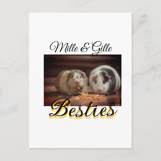 Begleithelfer tragen den Namen Foto Tier Liebe hin Postkarte (Vorderseite)