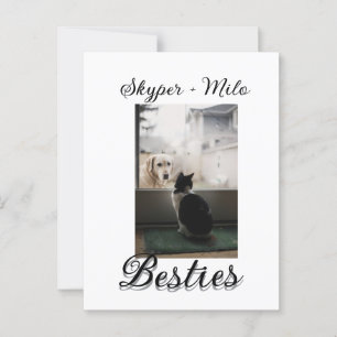 Begleithelfer tragen den Namen Foto Tier Liebe hin Postkarte