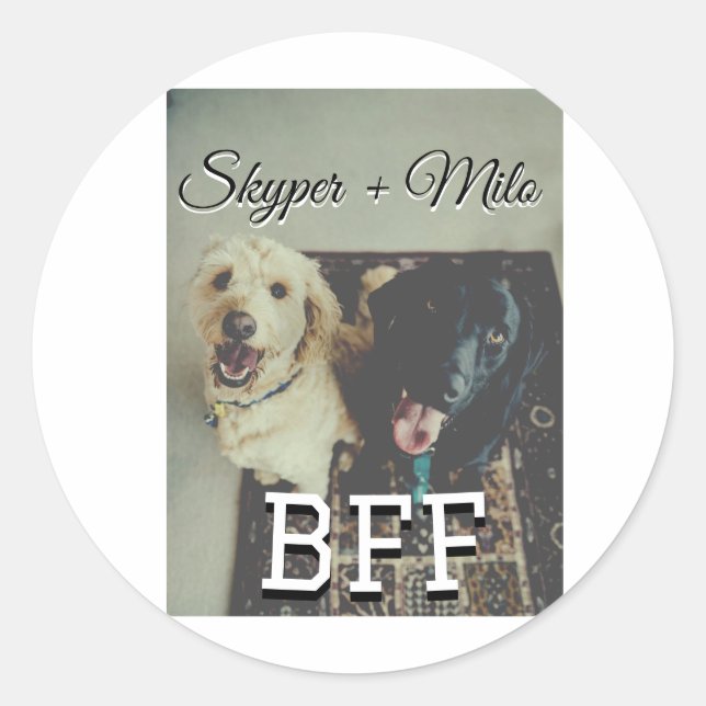 Begleithelfer tragen den Namen Foto Tier Liebe hin Runder Aufkleber (Vorderseite)