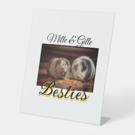 Begleithelfer tragen den Namen Foto Tier Liebe hin Sockelschild