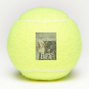 Begleithelfer tragen den Namen Foto Tier Liebe hin Tennisbälle