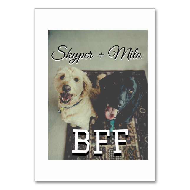 Begleithelfer tragen den Namen Foto Tier Liebe hin Tischnummer (Vorderseite)